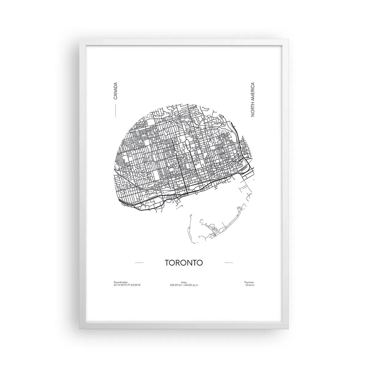Poster în ramă albă - Anatomia Toronto - 50x70 cm