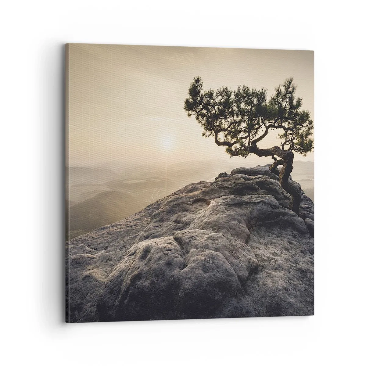 Tablou pe pânză - Viața învinge întotdeauna - 70x70 cm