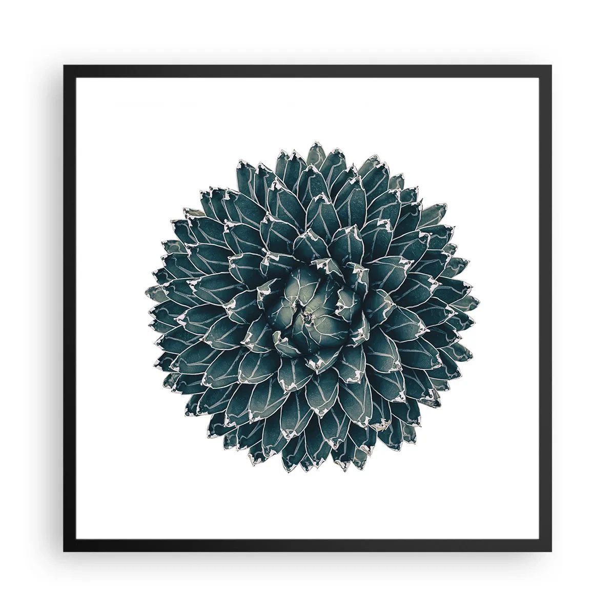 Poster în ramă neagră - Steaua deșertului - 60x60 cm