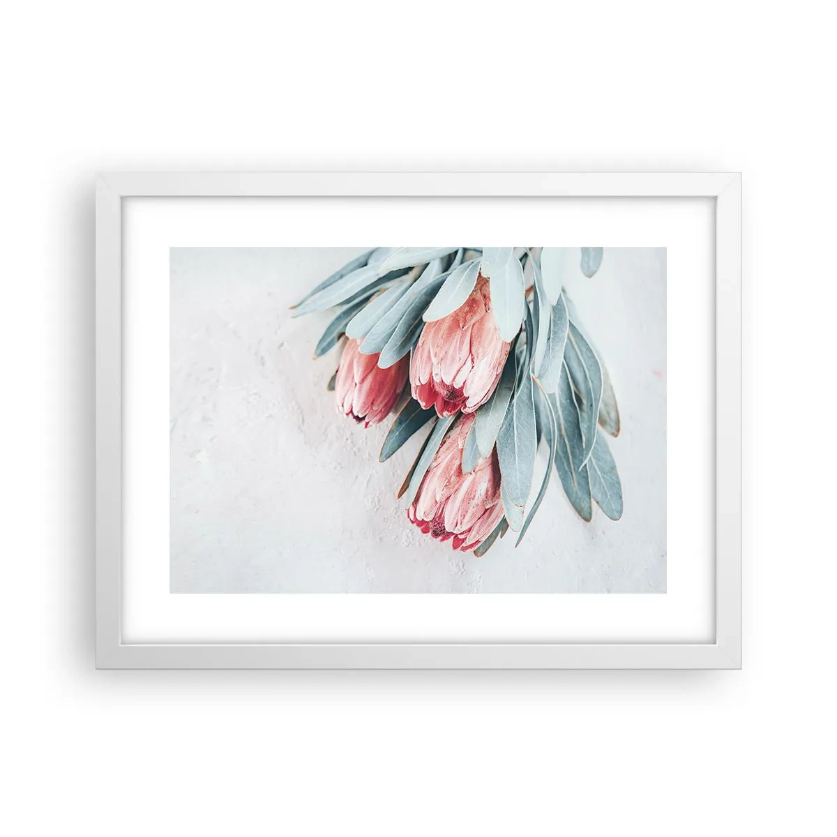 Poster în ramă albă - Rușinate de propria lor frumusețe - 40x30 cm