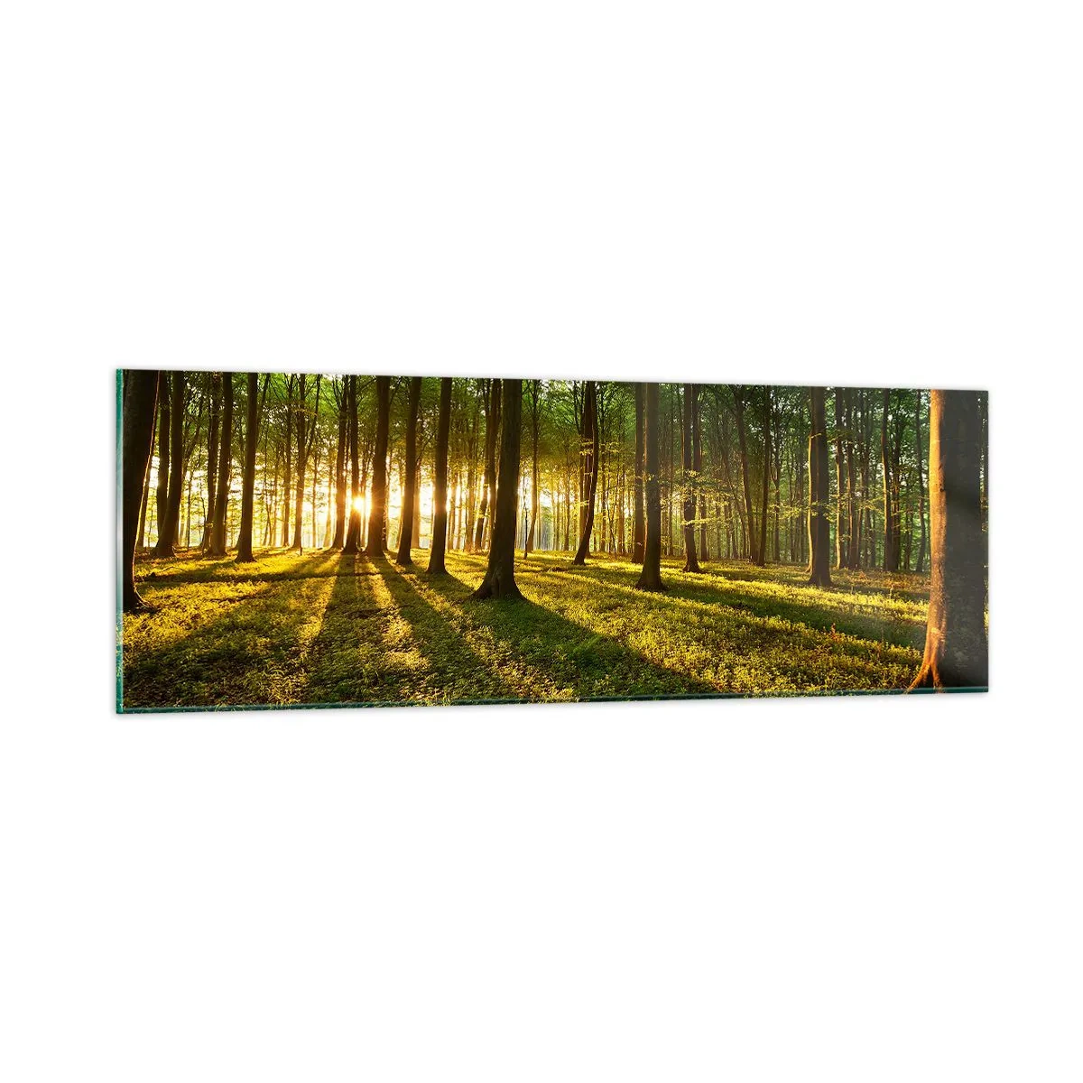Tablou pe sticlă - Fotografia tuturor primăverilor - 90x30 cm