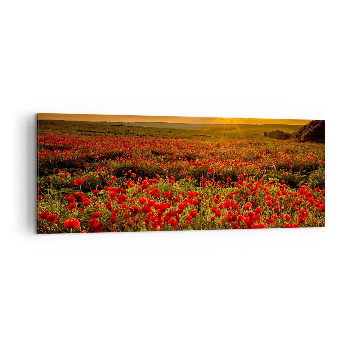 Tablou pe pânză - Printre valuri de pajiști care zumzăie, printre potop de flori - 140x50 cm