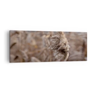 Tablou pe pânză - E timpul să zbori cu vântul - 140x50 cm