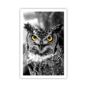 Poster - Nimic nu poate fi ascuns - 61x91 cm