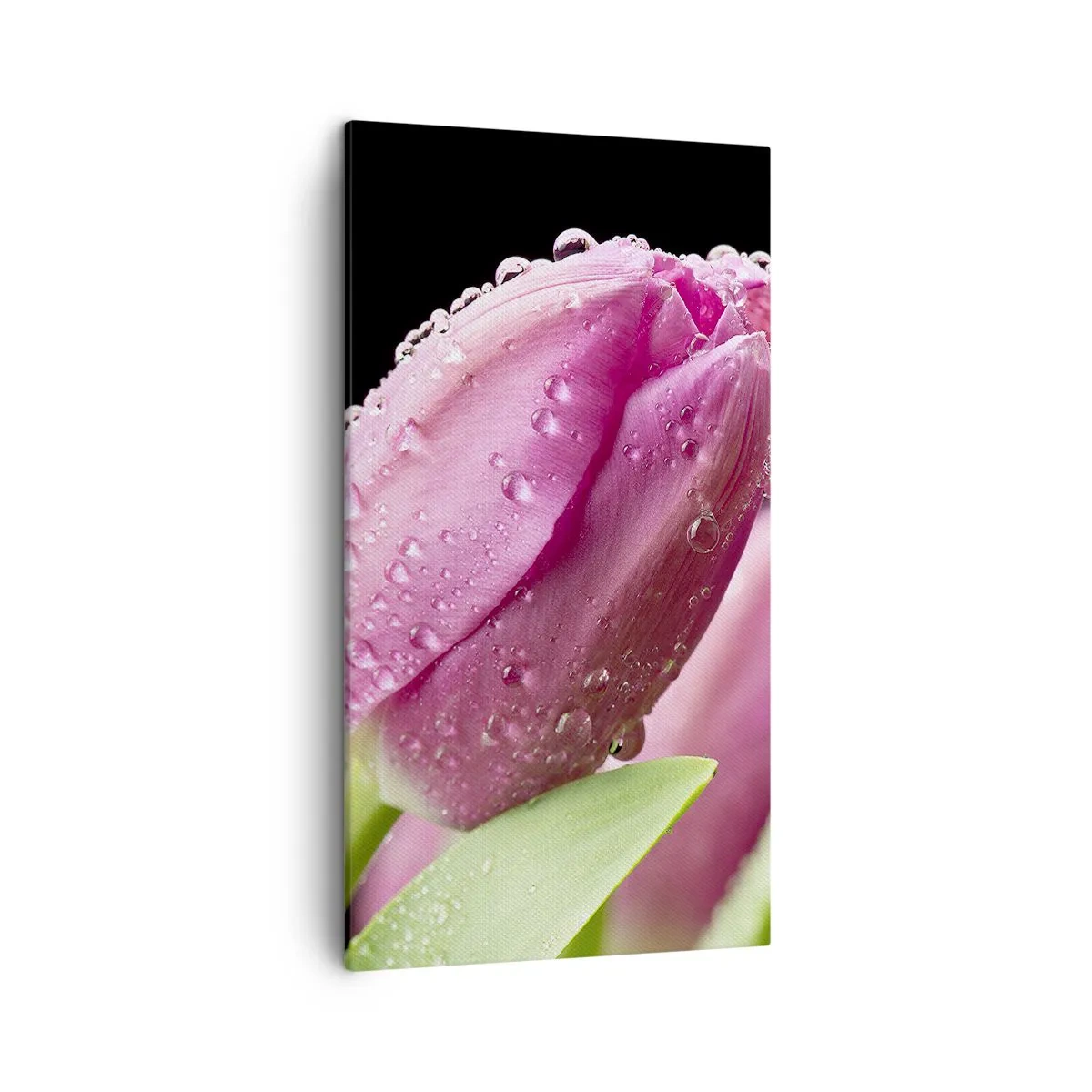 Tablou pe pânză - Un vis de liliac în rouă - 45x80 cm