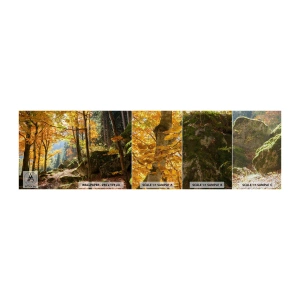 Mostră tapet Premium Canvas - Timp de relaxare - Peisaj, pădure, Natură - 100x30 cm