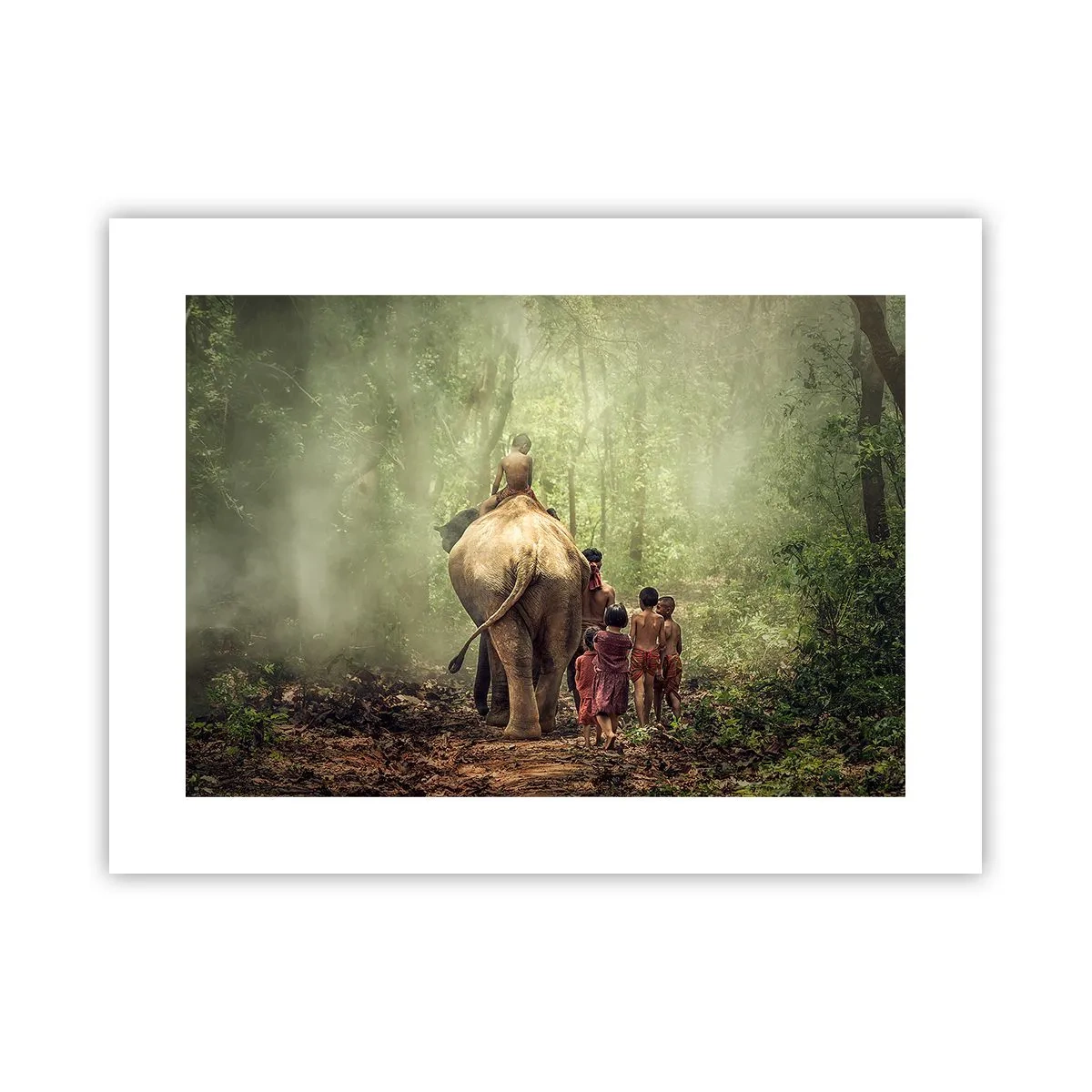 Poster - Noua Carte a Junglei - 40x30 cm