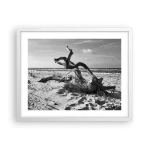 Poster în ramă albă - Sculptură marină - 50x40 cm