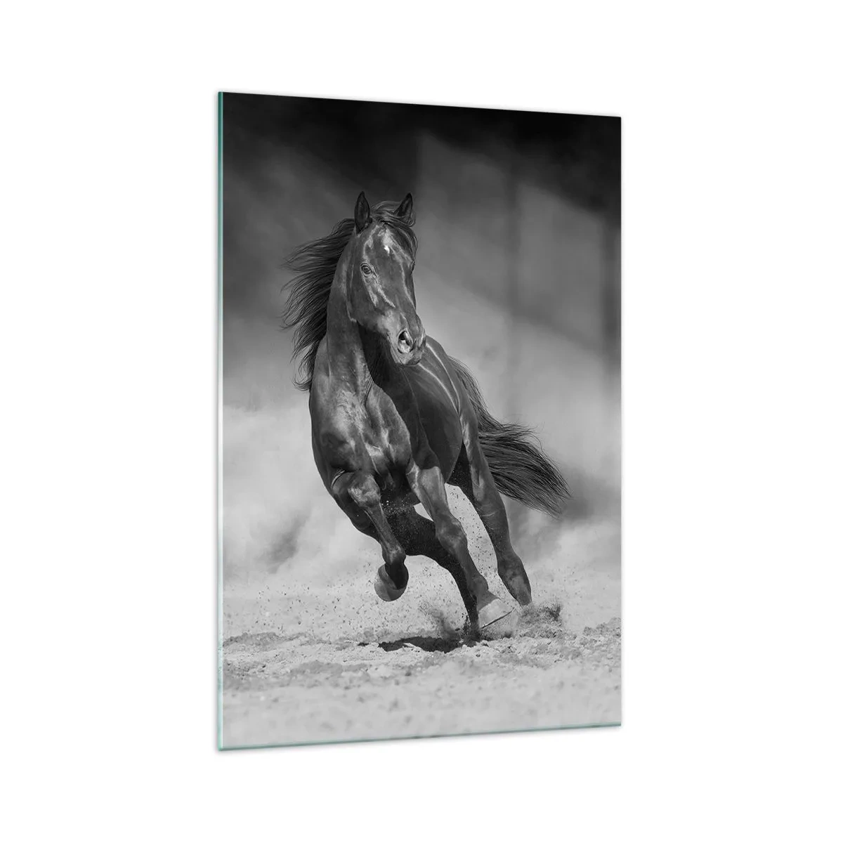 Tablou pe sticlă - Dorința emirului - 70x100 cm