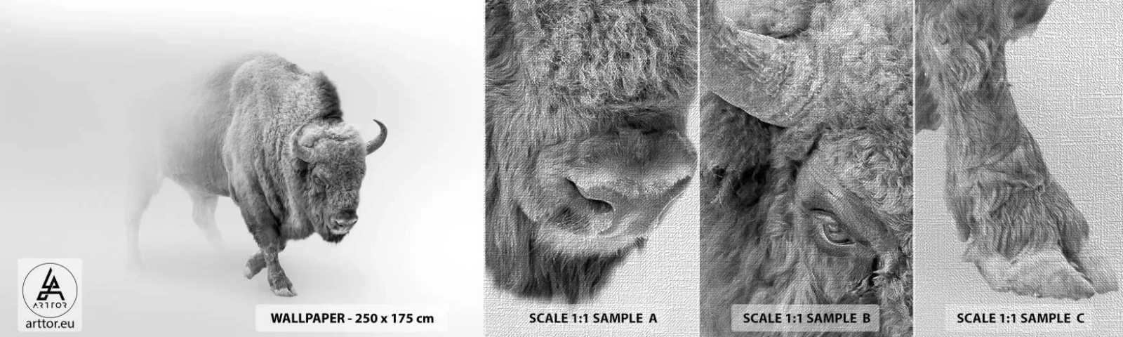 Mostră tapet Premium Canvas - Regele preriilor - Wisent, Animale, zimbri - 100x30 cm