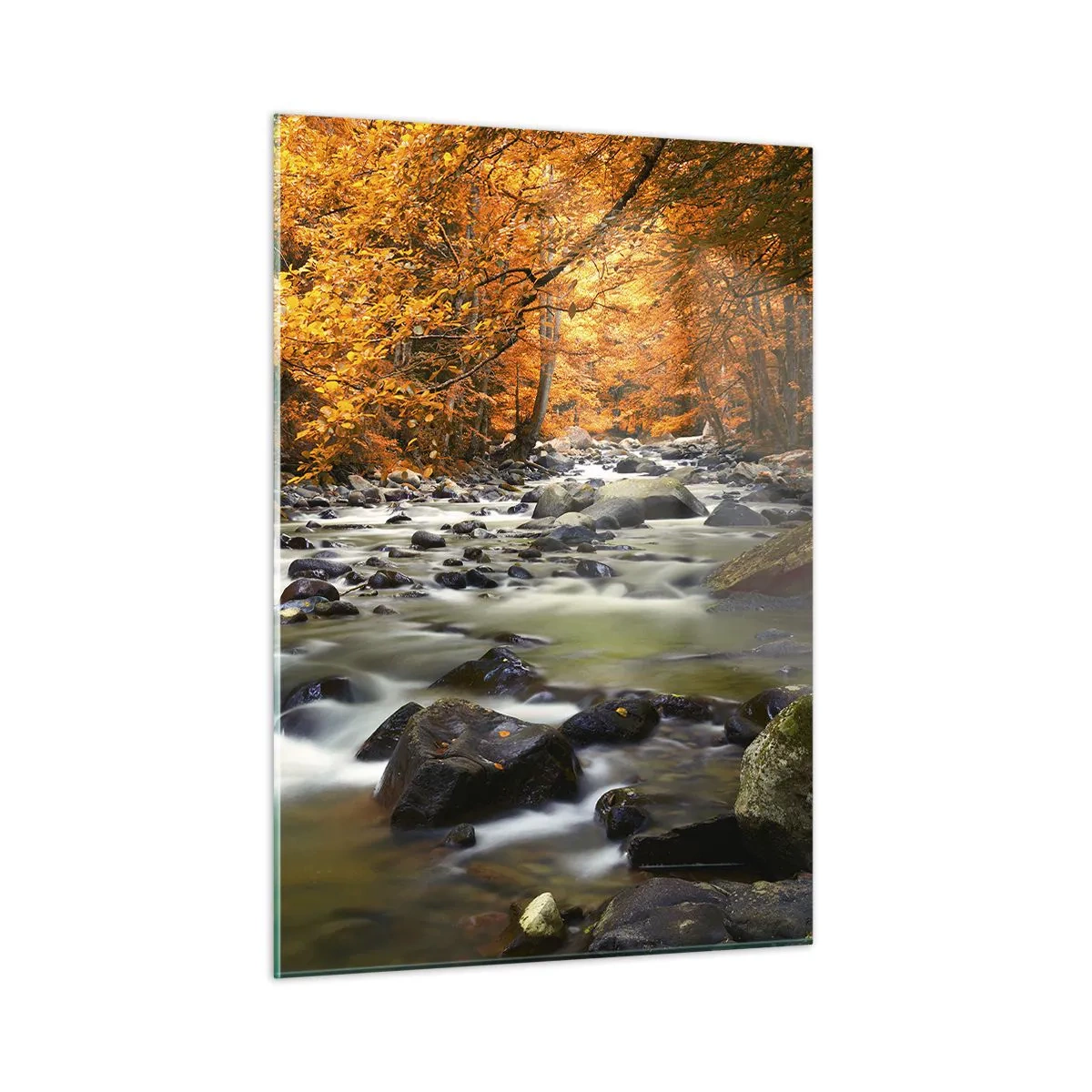 Tablou pe sticlă - Un pârâu într-o pădure de aur - 50x70 cm