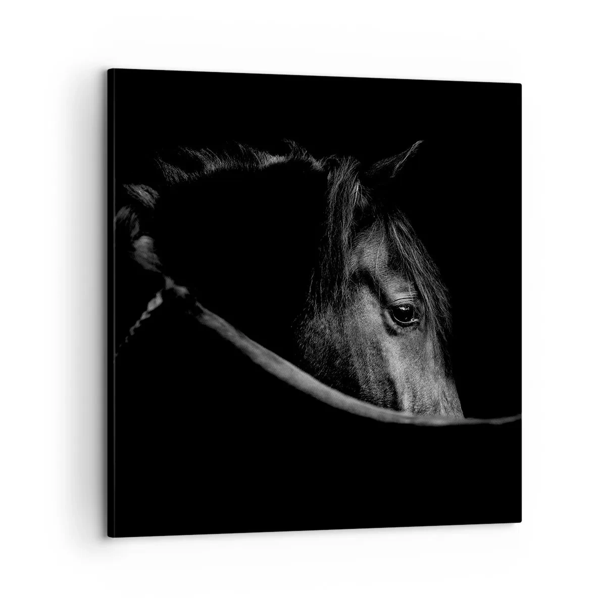 Tablou pe pânză - Prințul negru - 60x60 cm