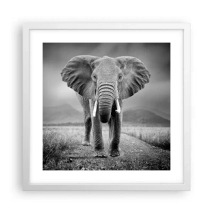 Poster în ramă albă - Gazda te salută - 40x40 cm