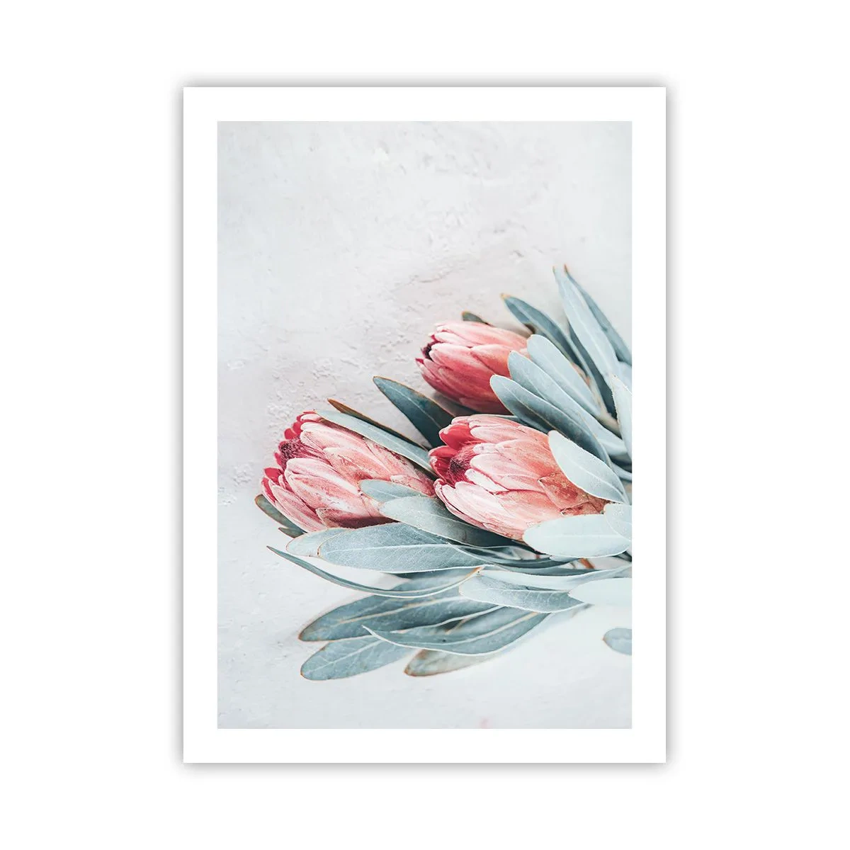 Poster - Rușinate de propria lor frumusețe - 50x70 cm