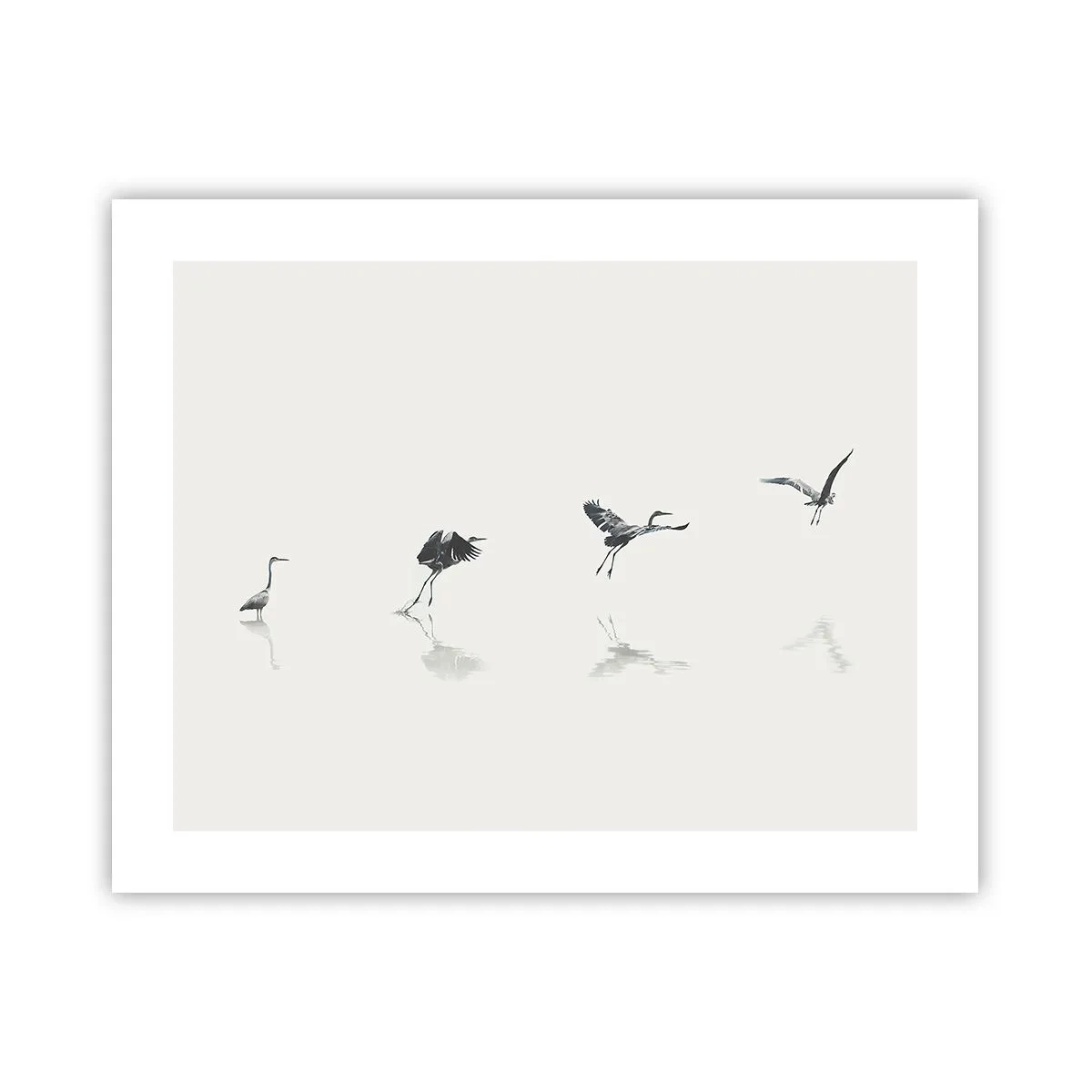 Poster - Patru pași simpli - 50x40 cm