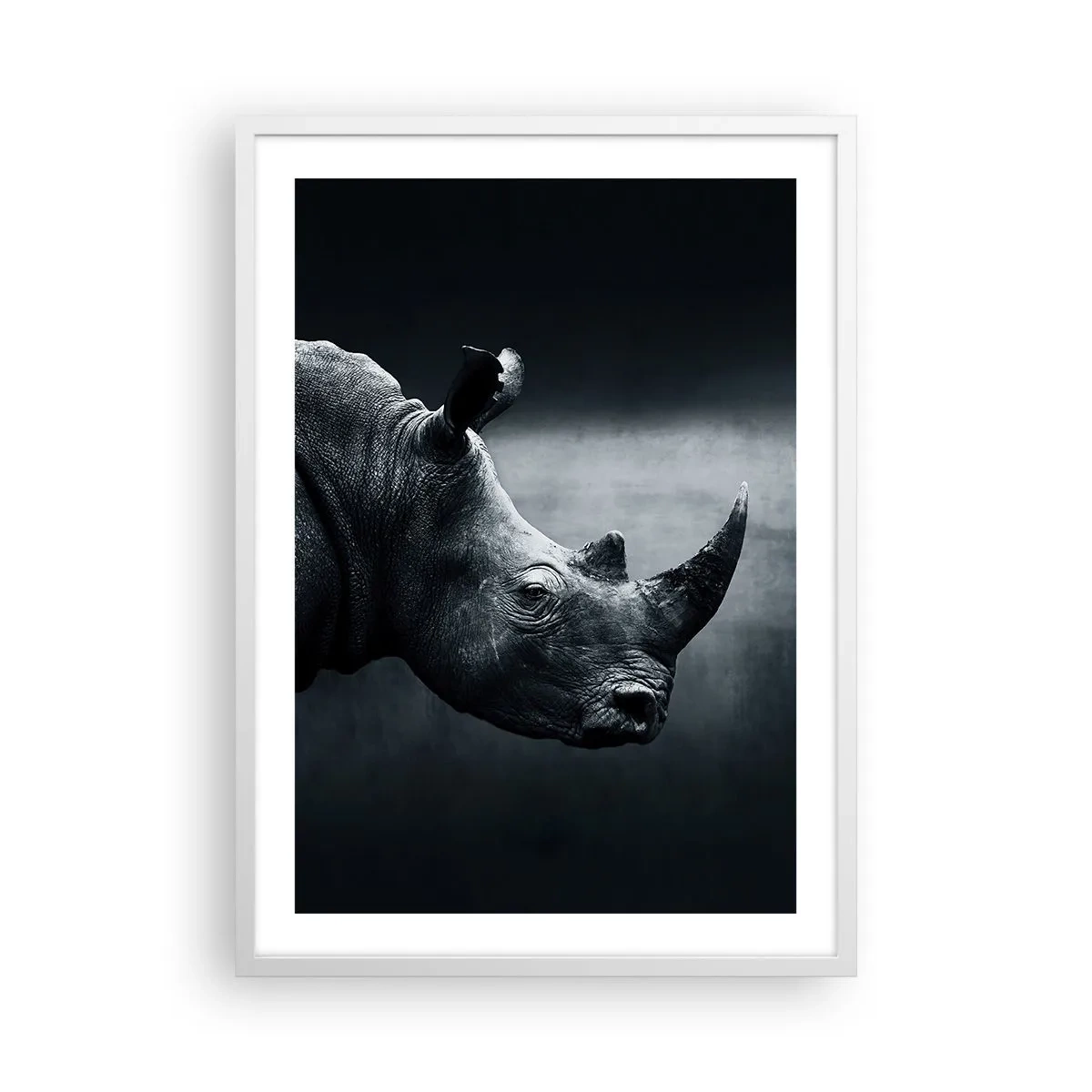 Poster în ramă albă - Profil drept - 50x70 cm