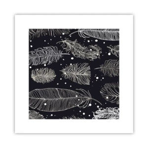 Poster - Dantelă cu pene - 30x30 cm