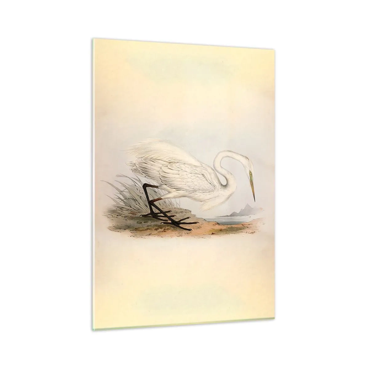 Tablou pe sticlă - Doamna în stufărișuri - 50x70 cm