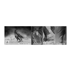 Mostră tapet autocolant Deluxe Sticker - Dorința emirului - Cal, Animale, Natură - 100x30 cm