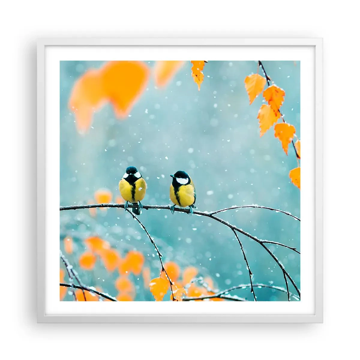 Poster în ramă albă - Bârfele păsărilor - 60x60 cm