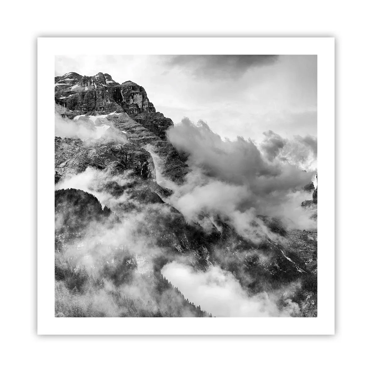 Poster - Frumoase și crude - 60x60 cm