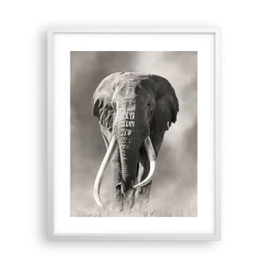 Poster în ramă albă - Patriarh african - 40x50 cm