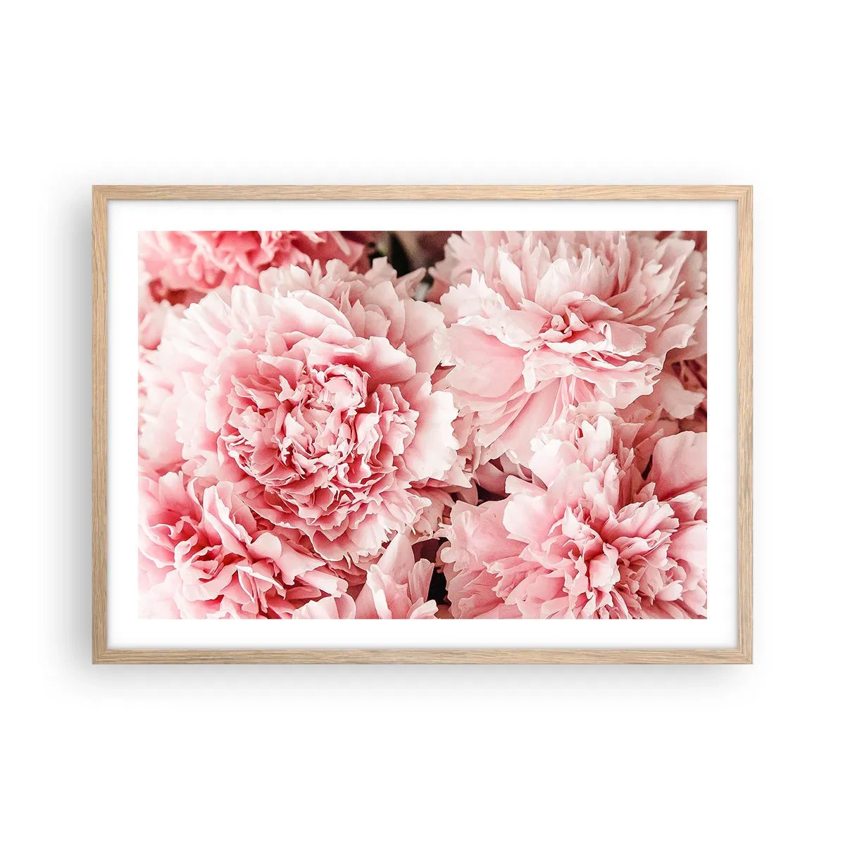 Poster în ramă de stejar deschis - Visul roz - 70x50 cm