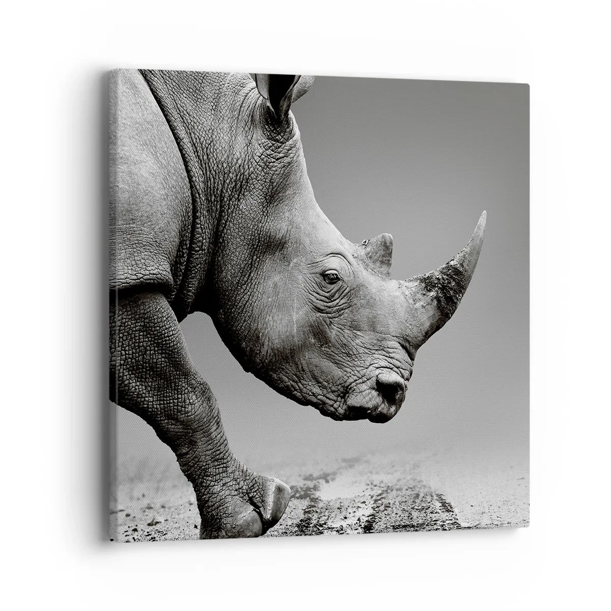 Tablou pe pânză - O forță de neoprit - 40x40 cm