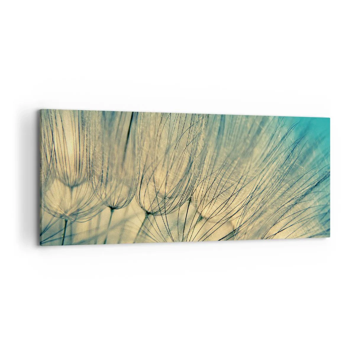 Tablou pe pânză - Așteptând vântul - 100x40 cm