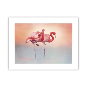 Poster - În culoarea soarelui care apune - 40x30 cm