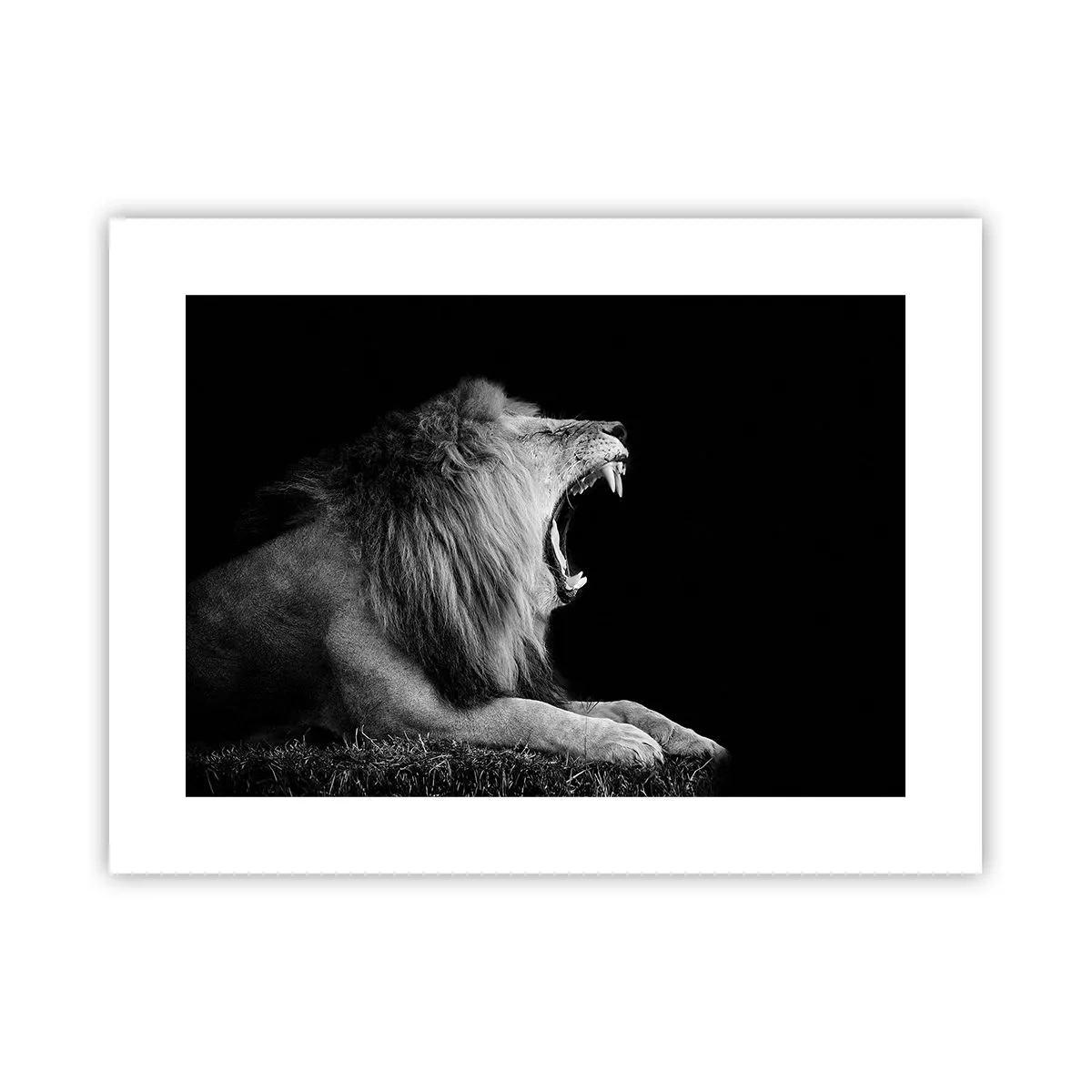 Poster - Fără nici o ezitare - 40x30 cm