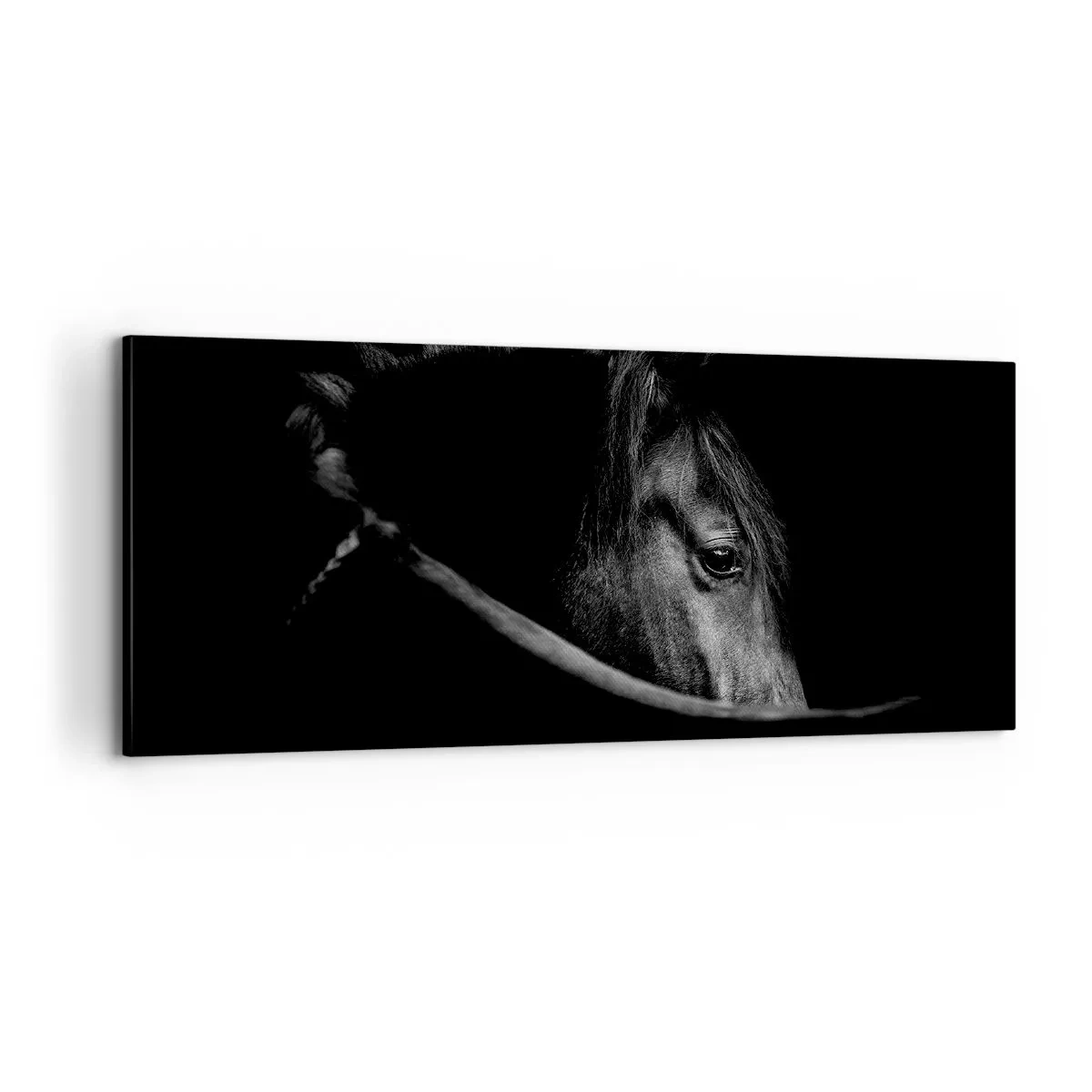 Tablou pe pânză - Prințul negru - 100x40 cm