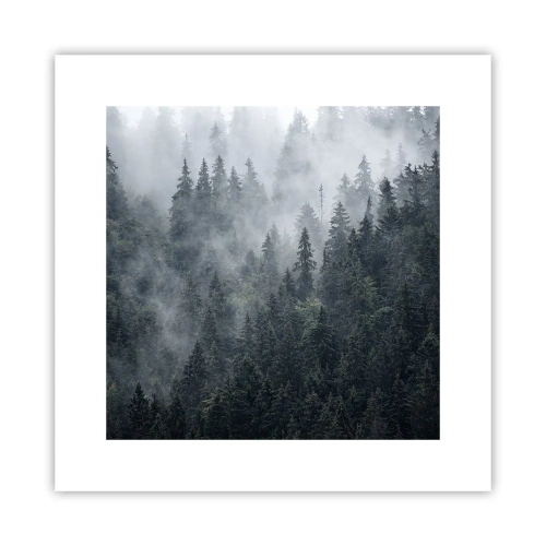 Poster - Zori de pădure - 30x30 cm