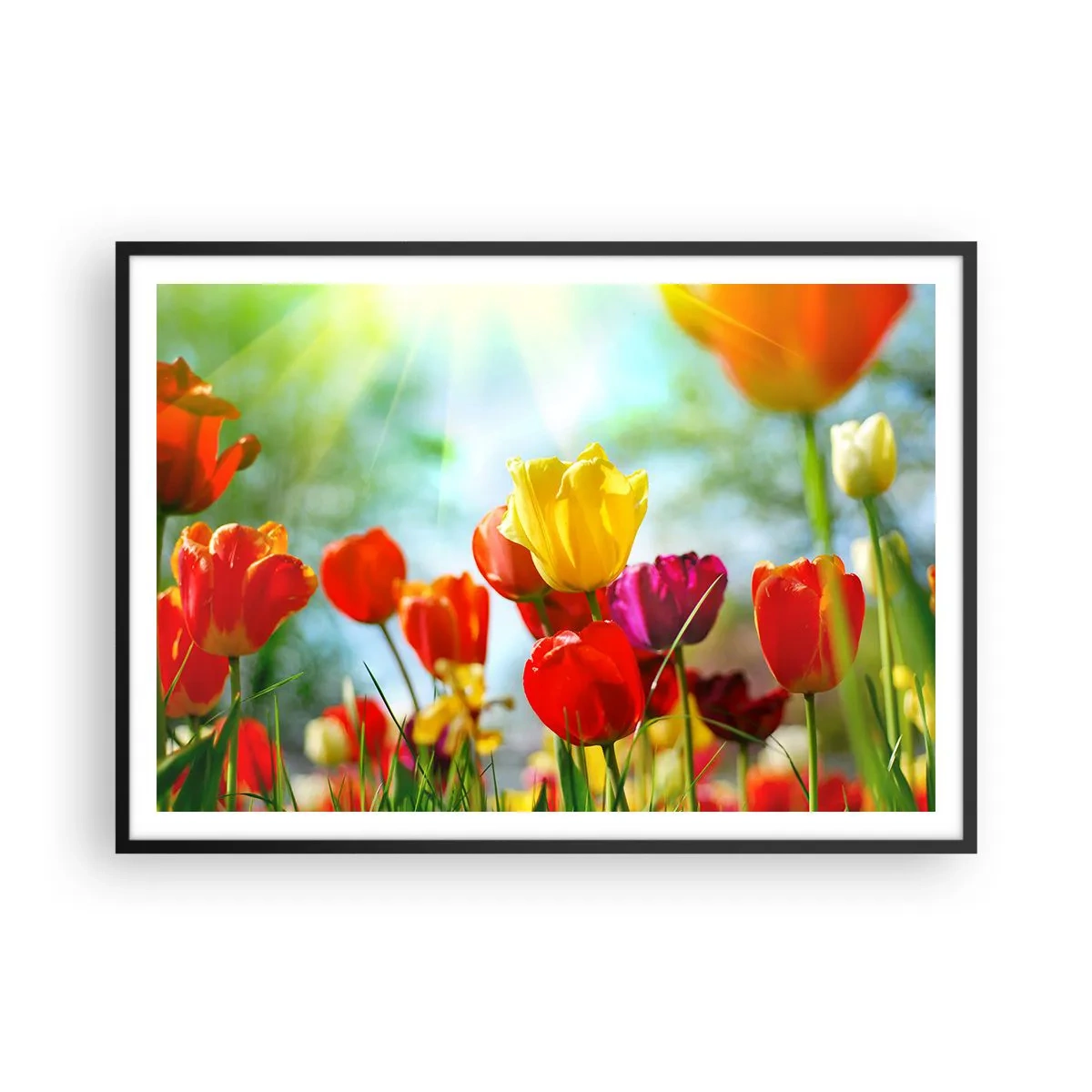 Poster în ramă neagră - Toate culorile soarelui - 100x70 cm