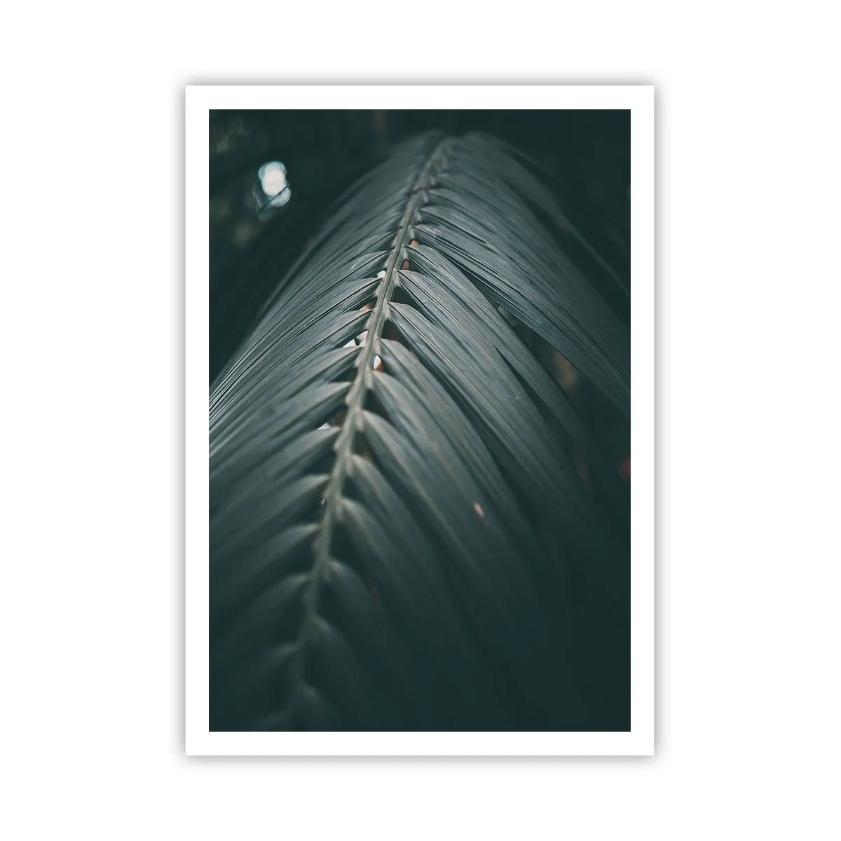 Poster - Precizia naturii - 70x100 cm