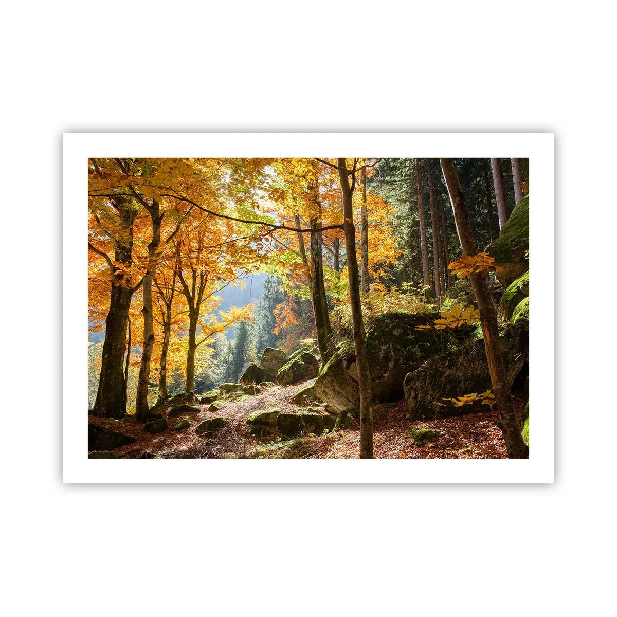 Poster - Timp de relaxare - 70x50 cm