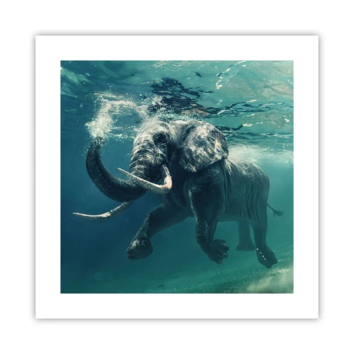 Poster - Tuturor le place să înoate - 40x40 cm