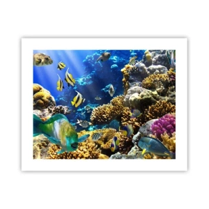 Poster - Trafic intens pe traseul de vacanță - 50x40 cm