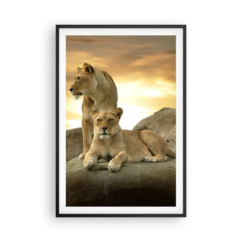 Poster în ramă neagră - Maiestate regală - 61x91 cm