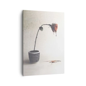 Tablou pe pânză - Rosa dolorosa - 50x70 cm