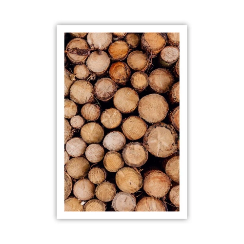 Poster - Un nou început - 61x91 cm