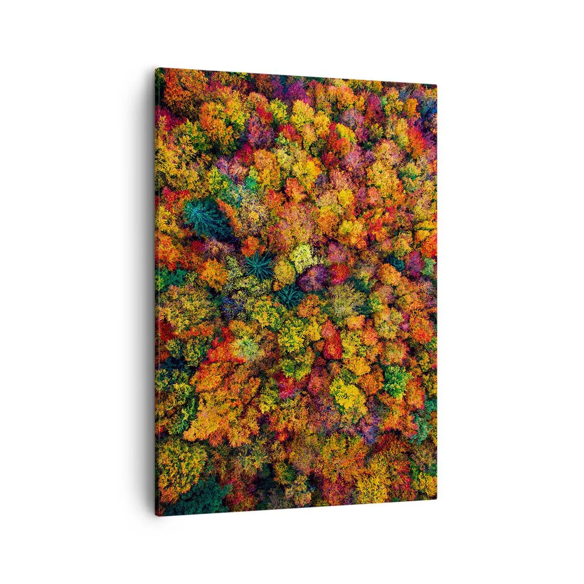 Tablou pe pânză - Buchet de copaci de toamnă - 50x70 cm