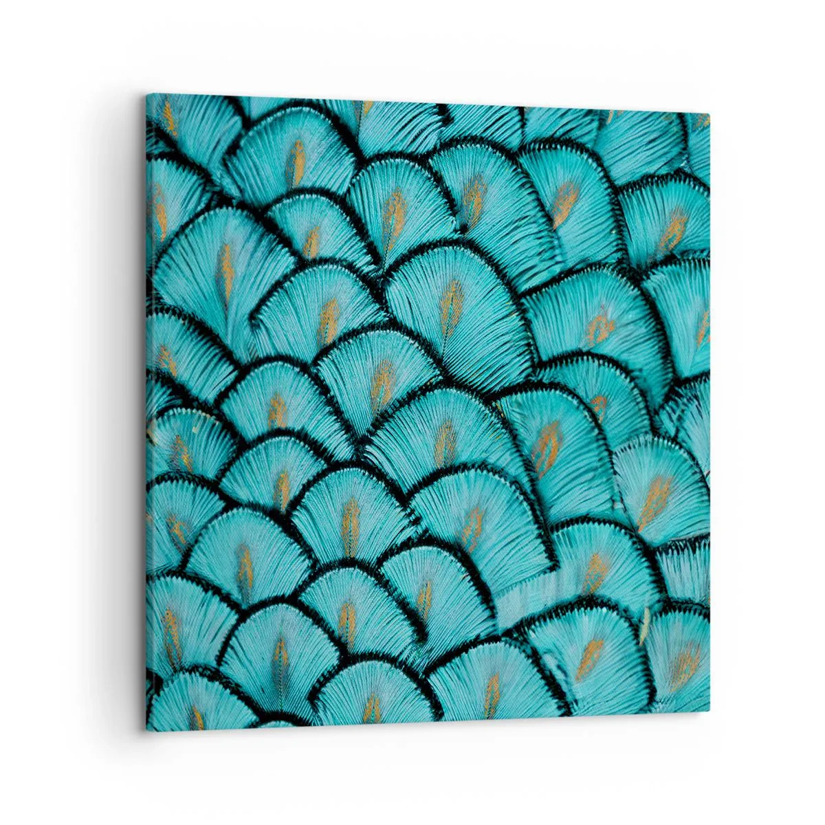 Tablou pe pânză - Marea gală a penelor - 50x50 cm