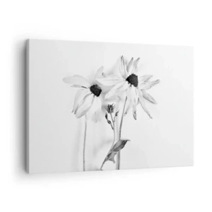 Tablou pe pânză Canvas - Flori alb-negre cu o compoziție subtilă - 70x50cm - Nimeni nu vrea să fie singur - Decorațiune modernă pentru perete pentru living și dormitor ARTTOR