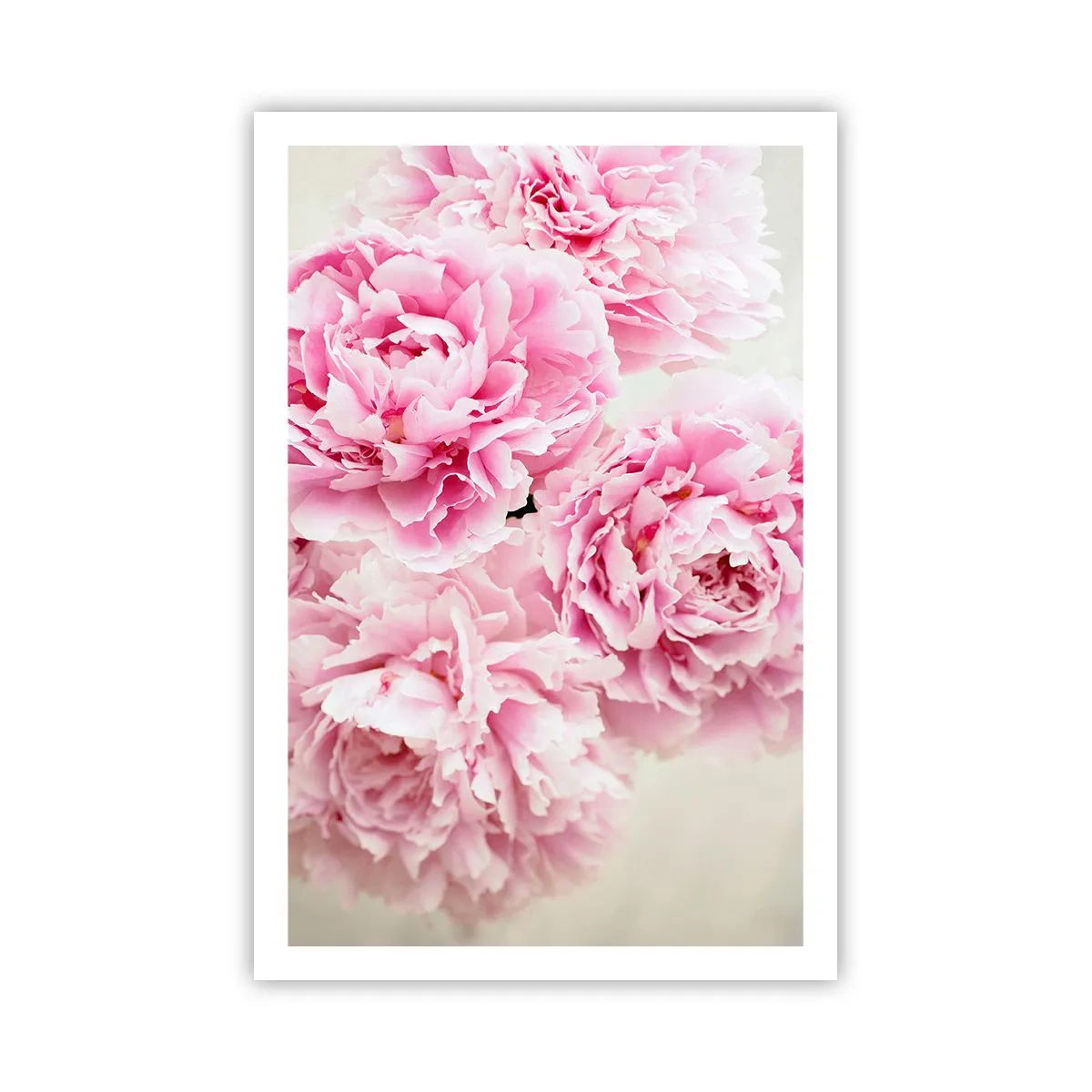 Poster - În luxul roz - 61x91 cm