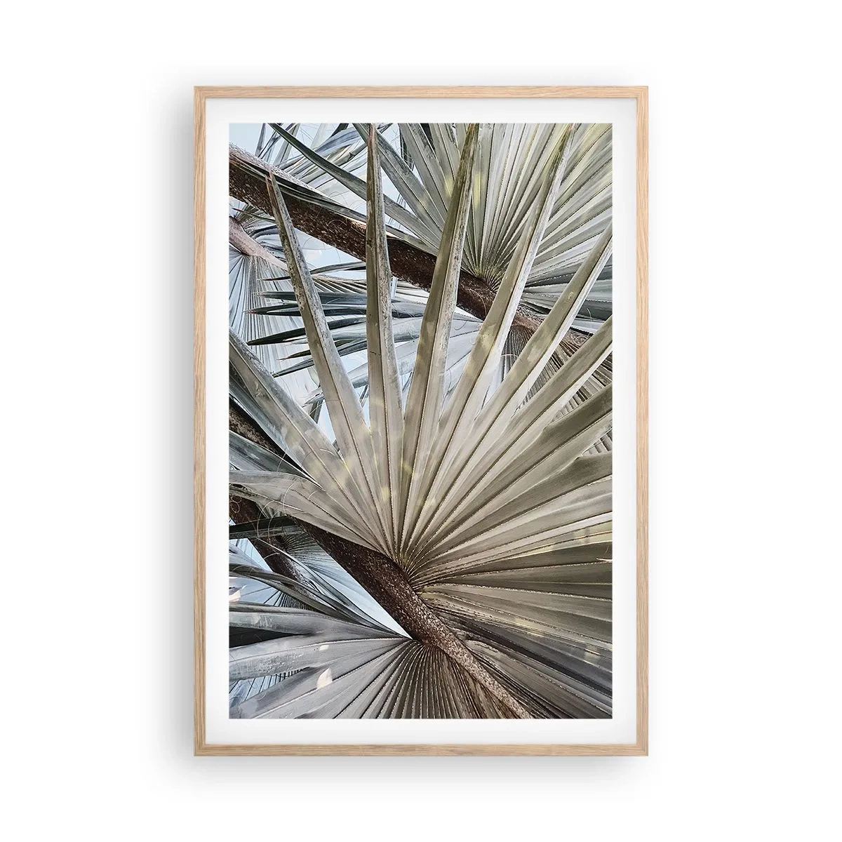 Poster în ramă de stejar deschis - Evantaie din tropice - 61x91 cm