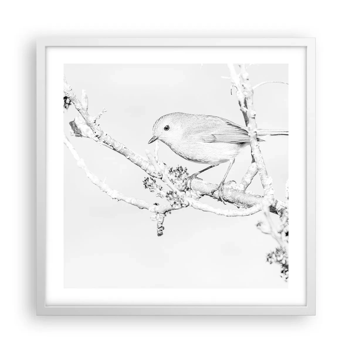 Poster în ramă albă - Dimineață de iarnă - 50x50 cm