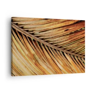 Tablou pe pânză Canvas - Prim-plan al unei frunze de palmier uscate în tonuri calde - 70x50cm - Aur de nucă de cocos - Decorațiune modernă pentru perete pentru living și dormitor ARTTOR
