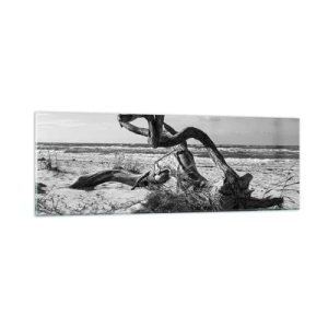 Tablou pe sticlă - Sculptură marină - 90x30 cm