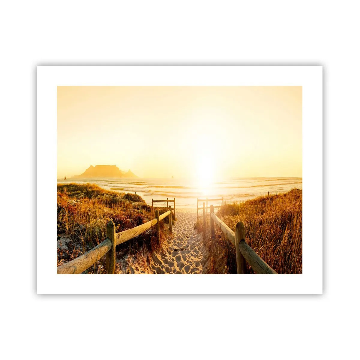 Poster - Prin dune spre soare - 50x40 cm